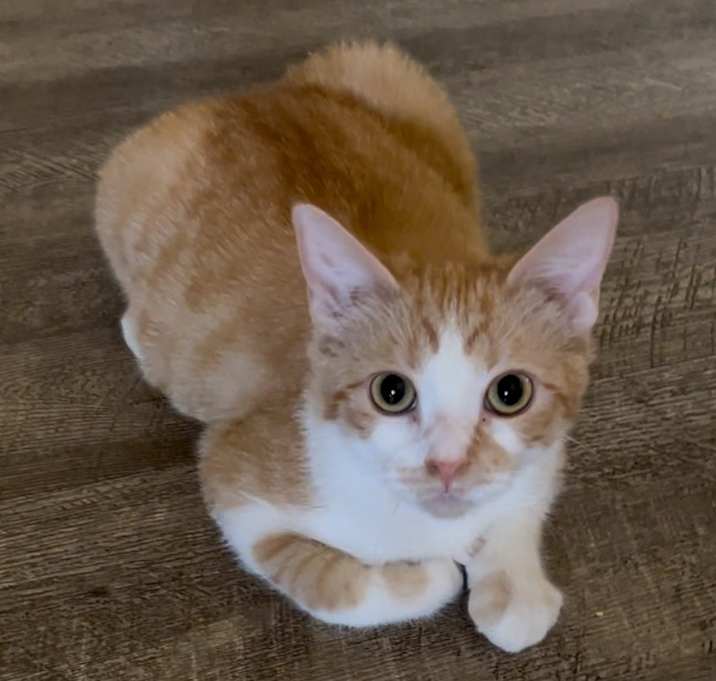 Photo of Walter