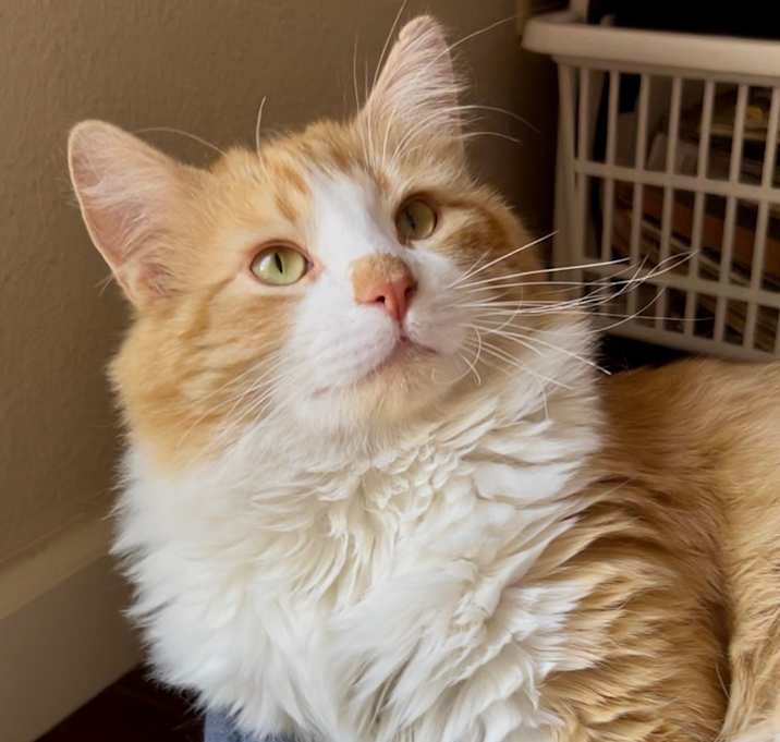 Photo of Grady