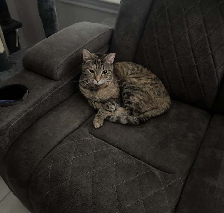 Photo of Suvi, hiccup