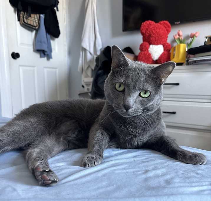 Photo of Rainy