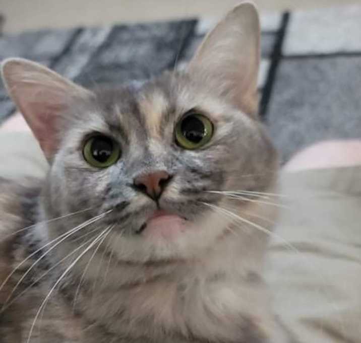 Photo of Molly