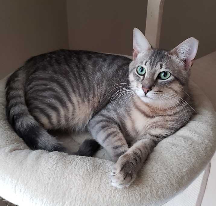 Photo of Culwell, P - Socks