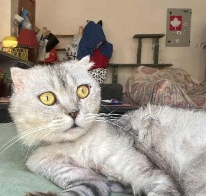 Photo of Tuna