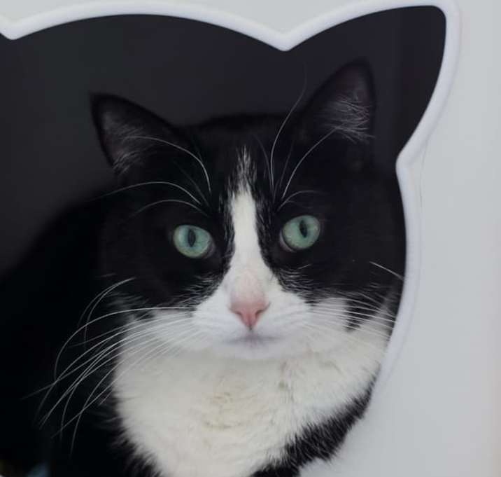 Photo of Twyla