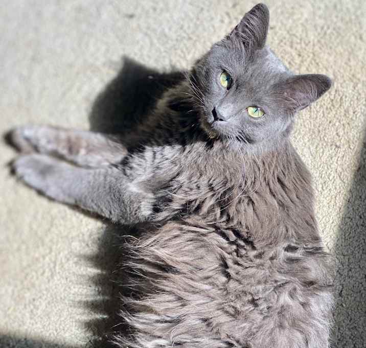Photo of Nadia