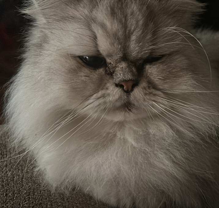 Photo of Sir Mozie Pickles