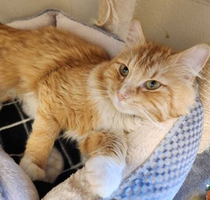 Photo of Sailor