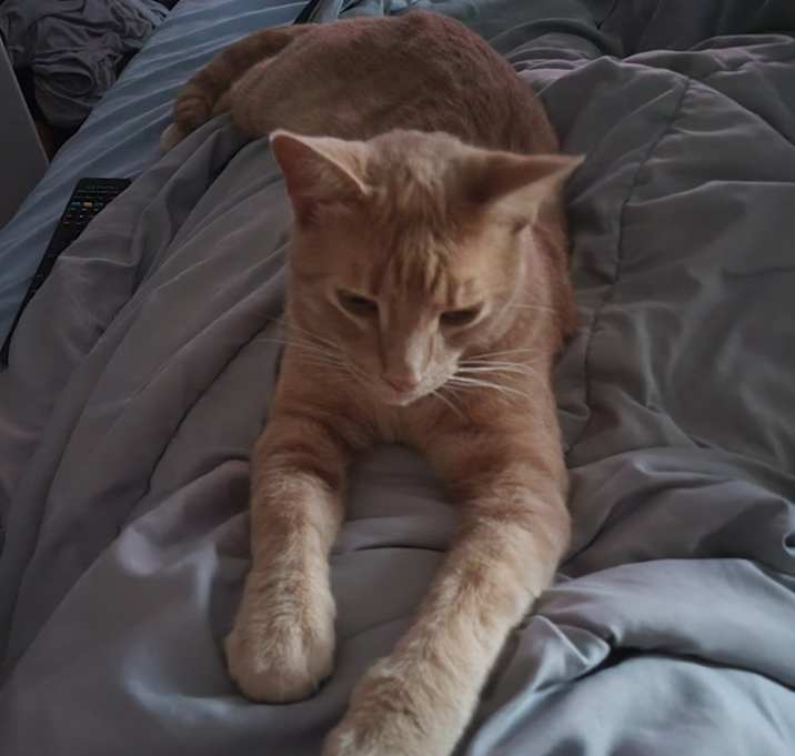 Photo of Jhin