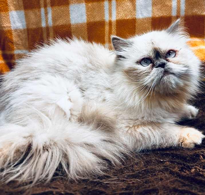 Photo of Sophie