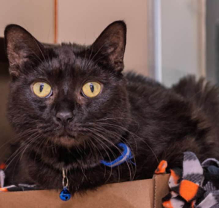Photo of Jasper