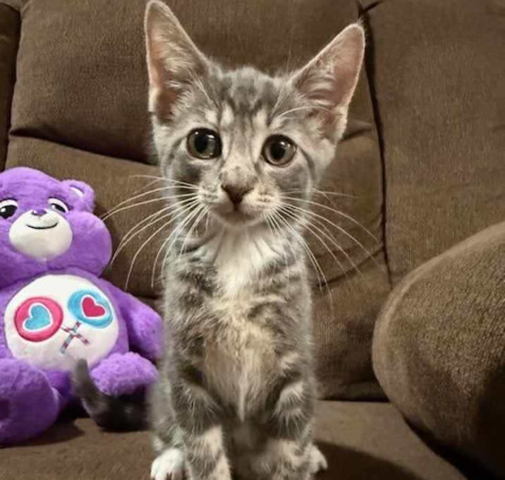 Photo of Blu