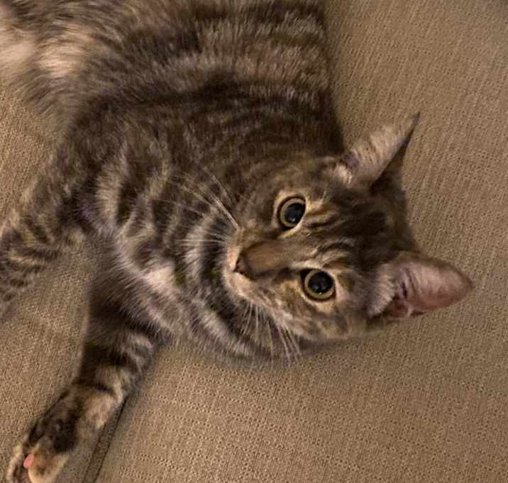 Photo of Meg
