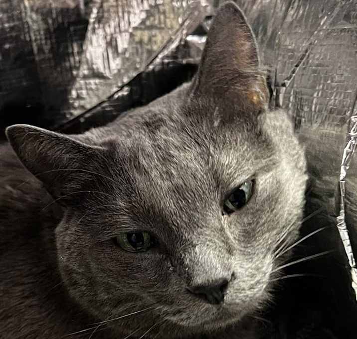 Photo of Brady