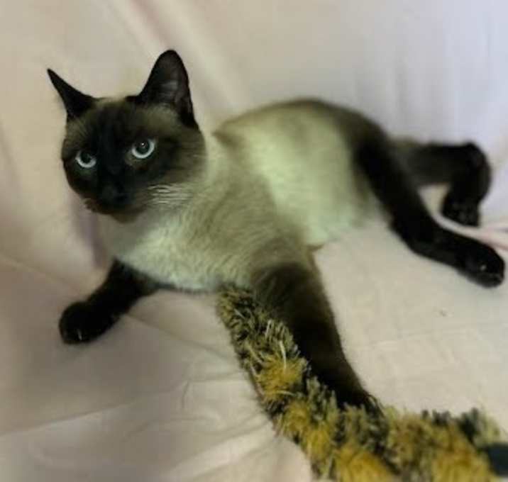 Photo of Cleo