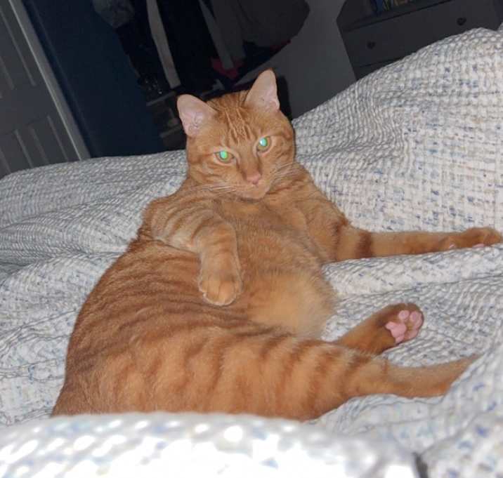 Photo of Jupiter