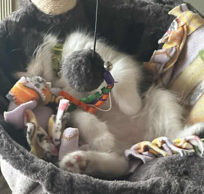 Photo of Maggie Mae