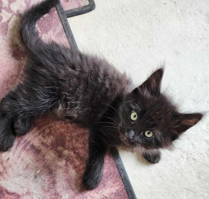 Photo of Angel