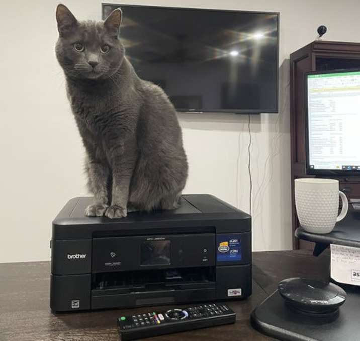 Photo of Skye IV (New Digs)