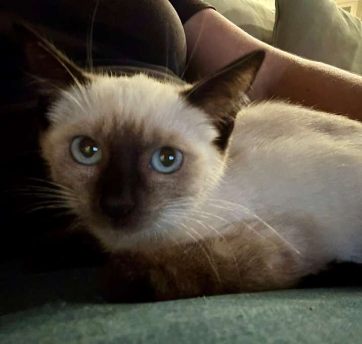 Photo of Nixie