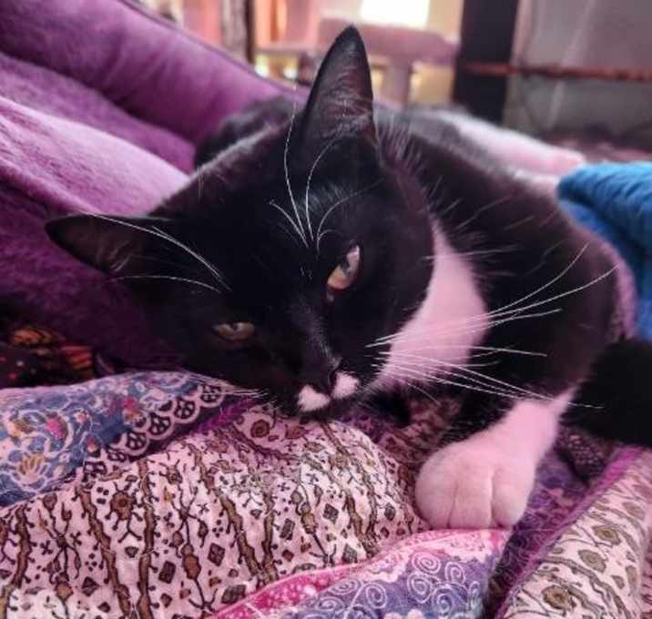 Photo of Charlie