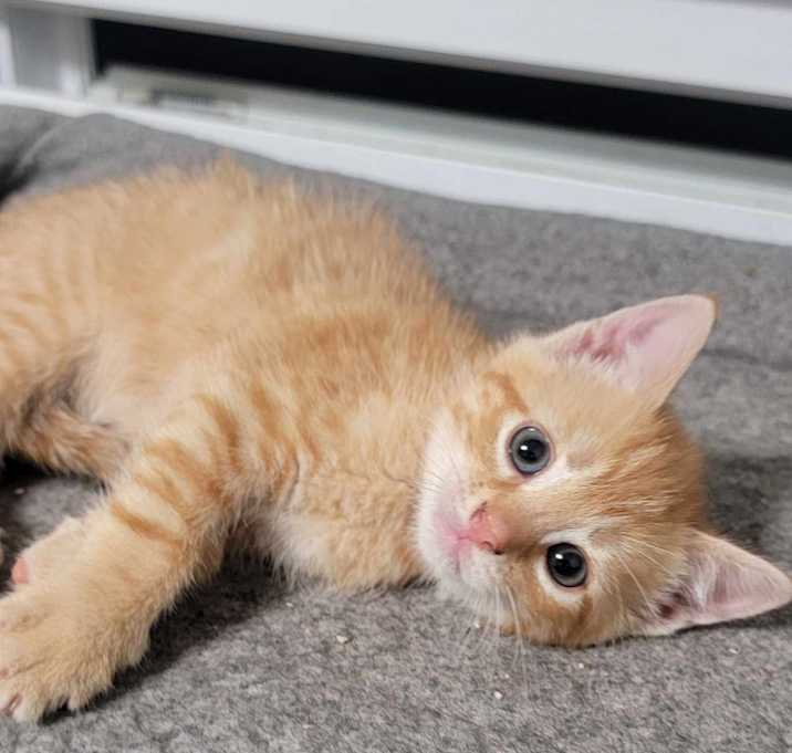 Photo of Winnie