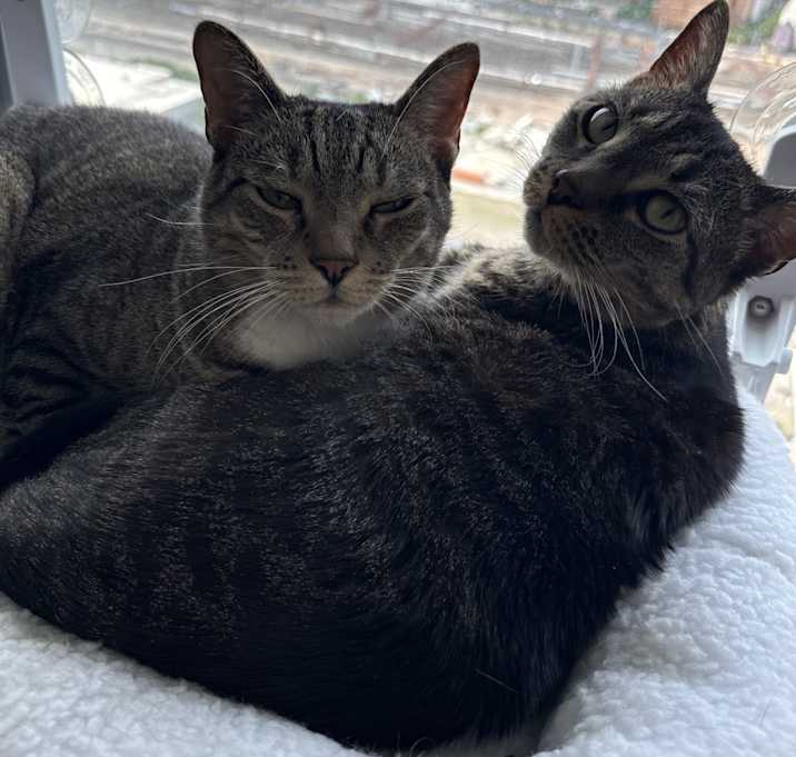 Photo of Helen and Boy (female and male)