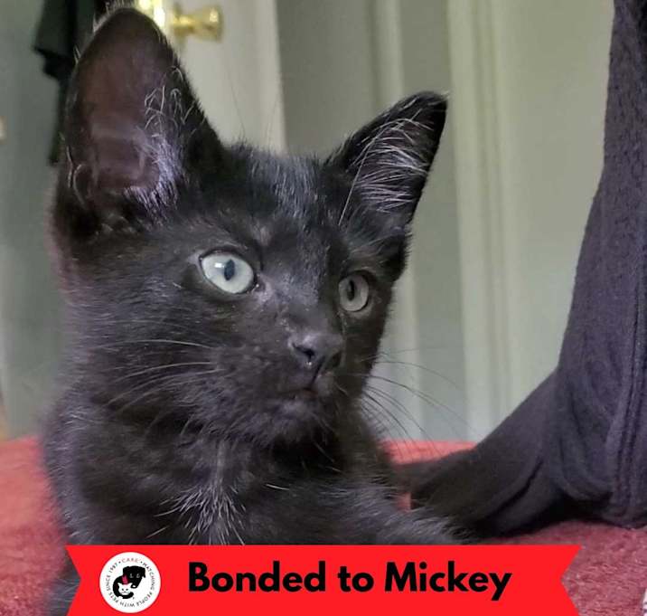 Photo of Minnie (k2025)