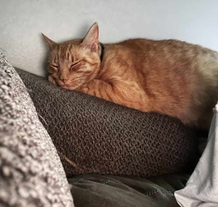 Photo of Chase
