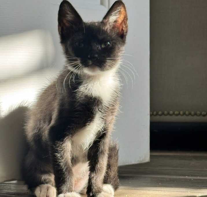 Photo of Meredith