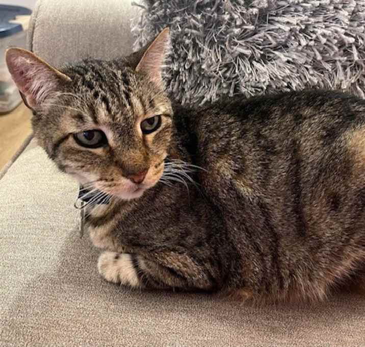 Photo of Booger