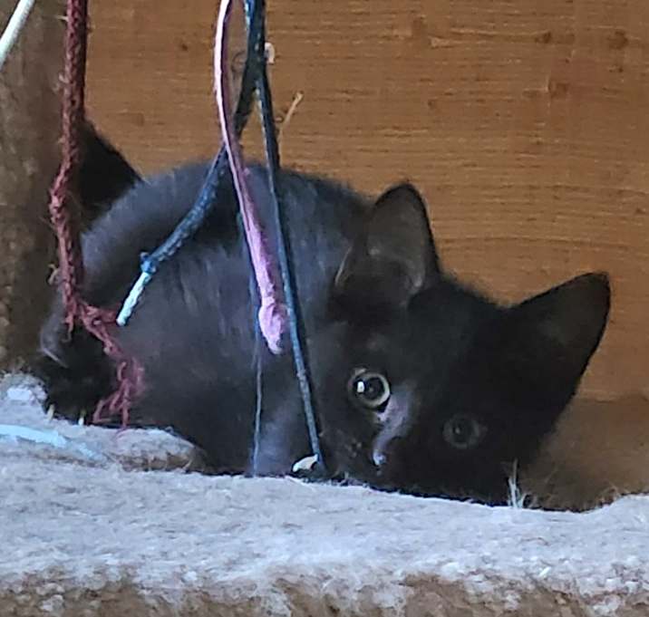 Photo of Kevin