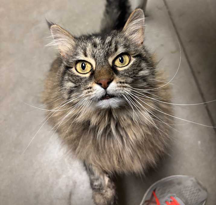 Photo of Storm