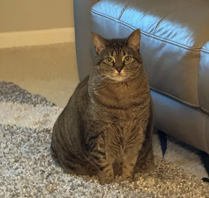 Photo of Mimi