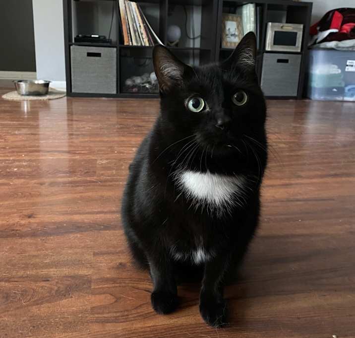 Photo of Beans