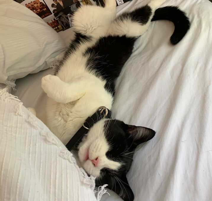 Photo of Ivy