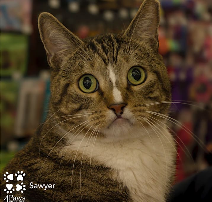 Photo of Sawyer PGAC