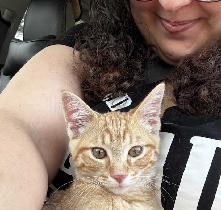 Photo of Cheeto