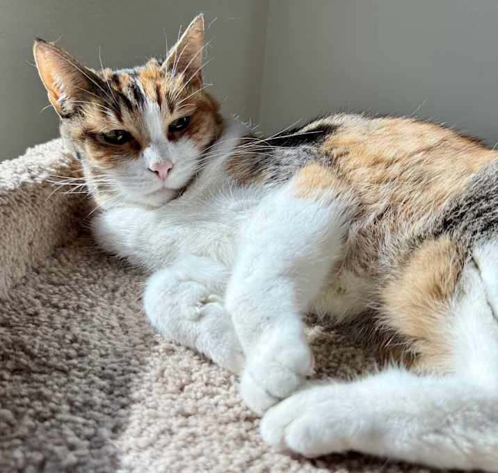 Photo of Cali