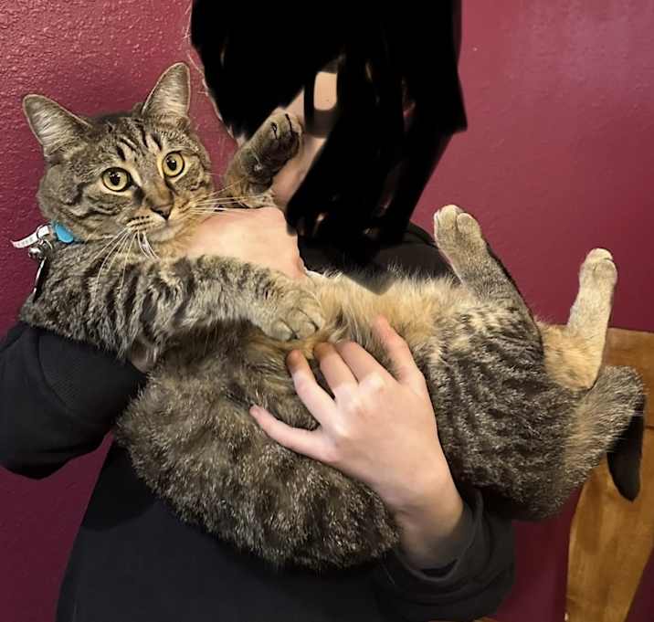 Photo of Vax