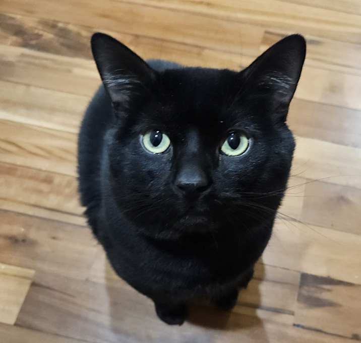 Photo of Charlie