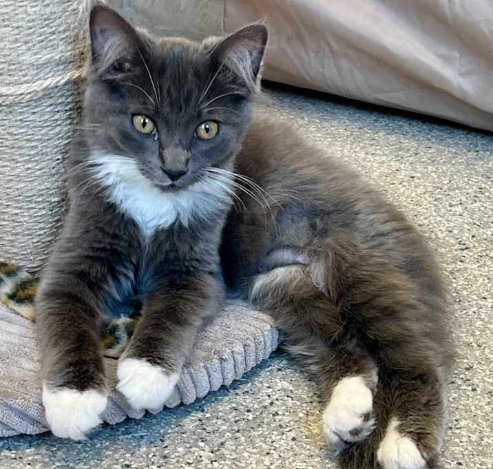Photo of Ophelia