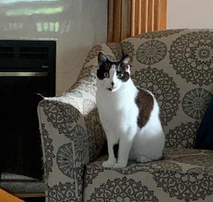 Photo of Cindy