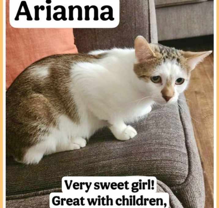 Photo of Ariana, Willow Grove Area, (FCID 05/19/2025-120)