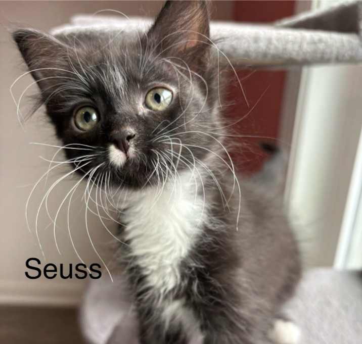 Photo of Suess