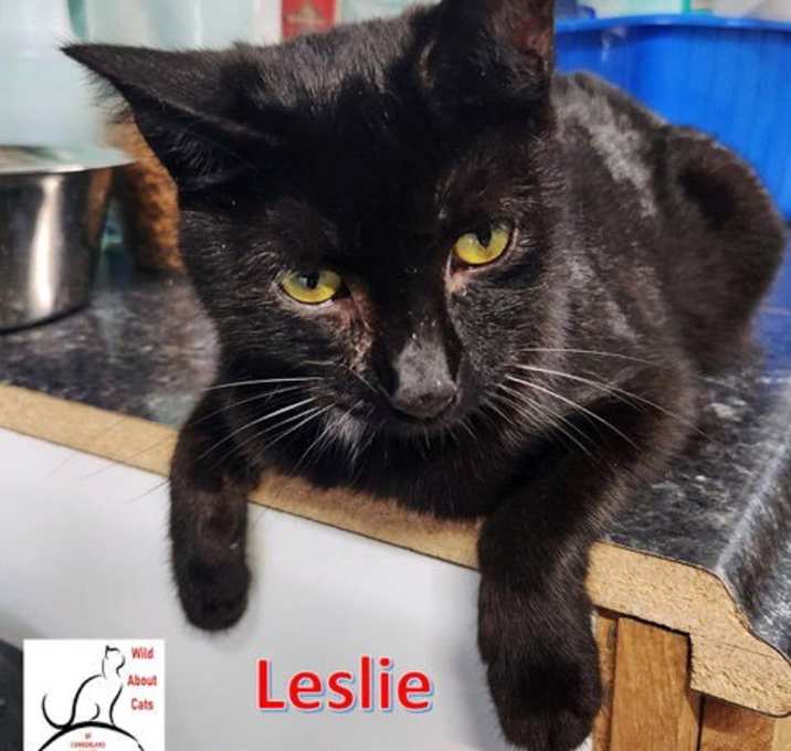 Photo of Leslie