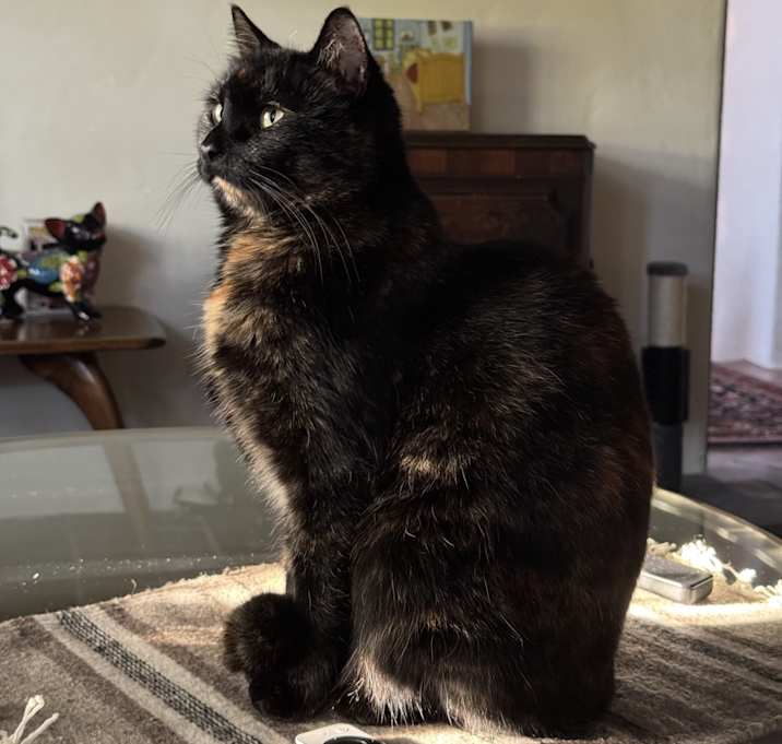Photo of Maya