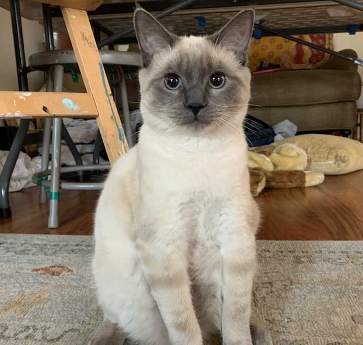 Photo of Baby