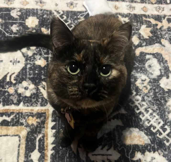 Photo of Tonya