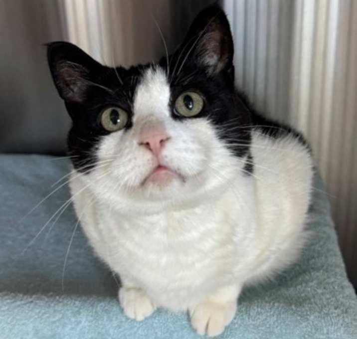 Photo of Olive Lou