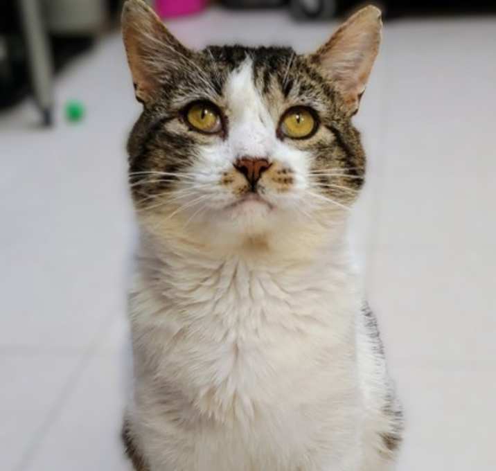 Photo of Bernard